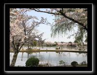005 Kyoto Arashiyama Daikaku-ji